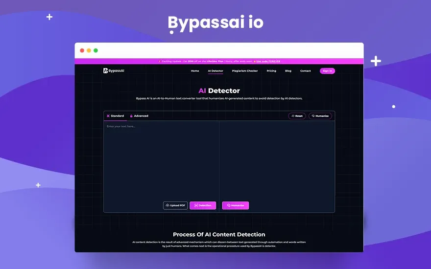 BypassAI IO