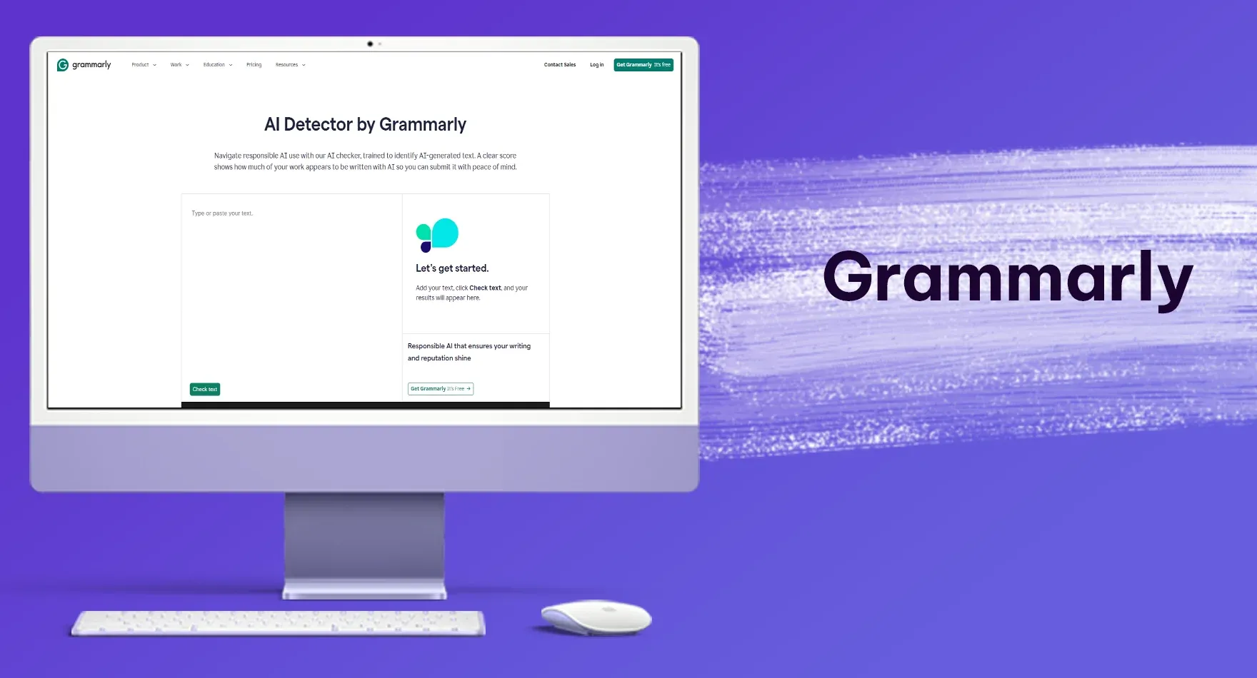 Grammarly (4).webp
