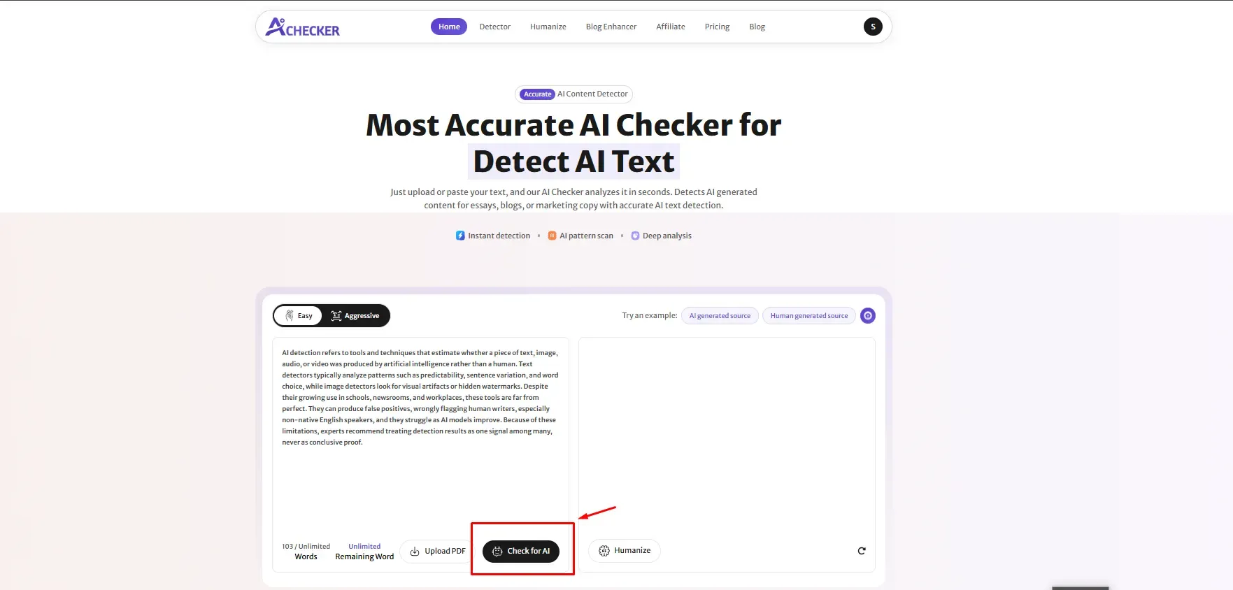 Run the AI Detection Run the AI Detection