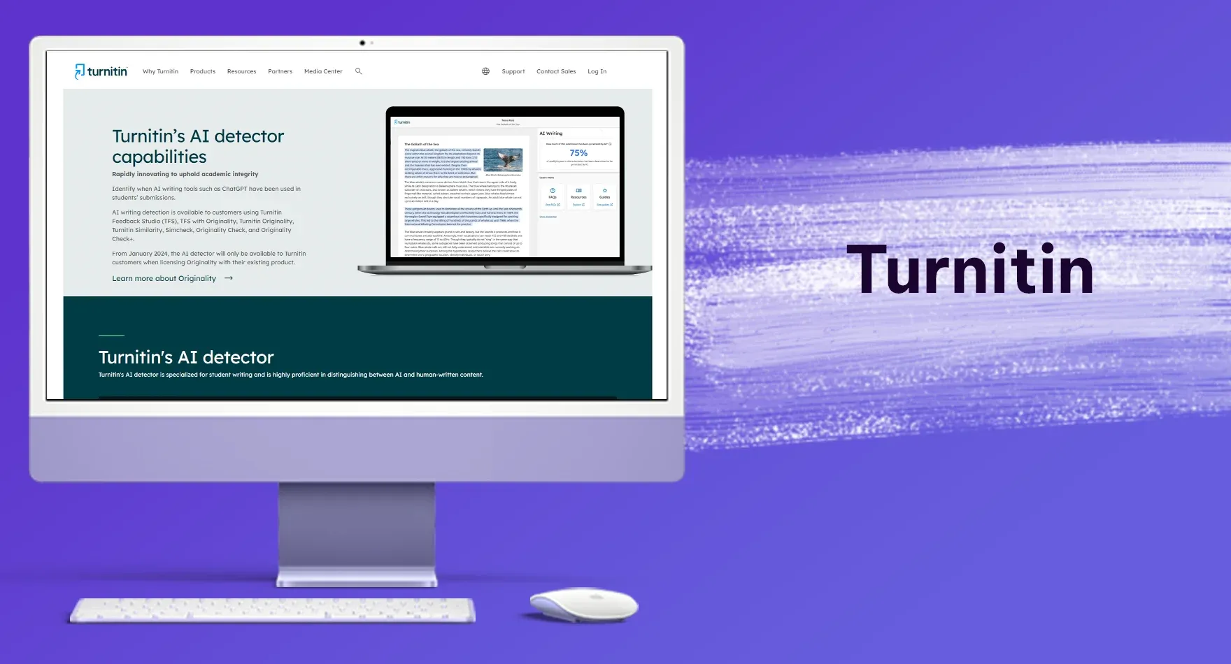 Turnitin (2).webp