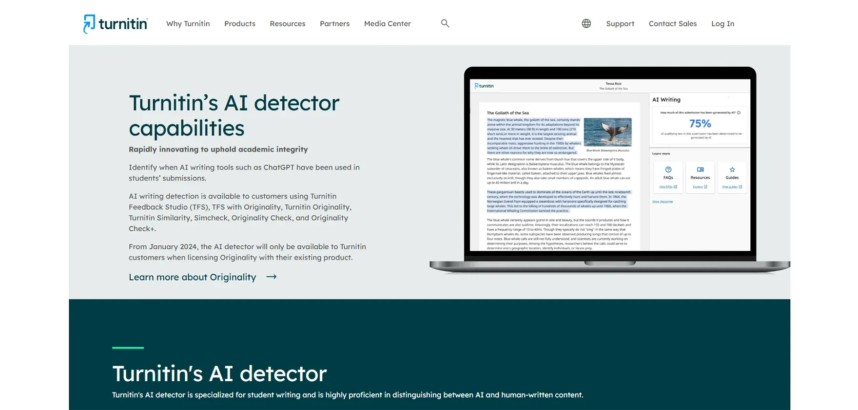 Turnitin AI Detection
