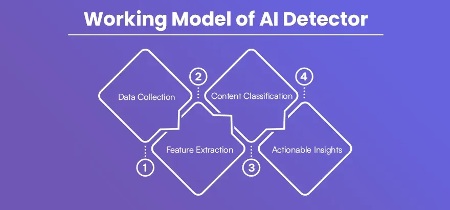 Working Model of AI Detector.webp